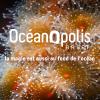 oceanopolis noel