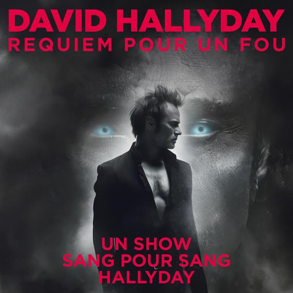 DAVID HALLYDAY